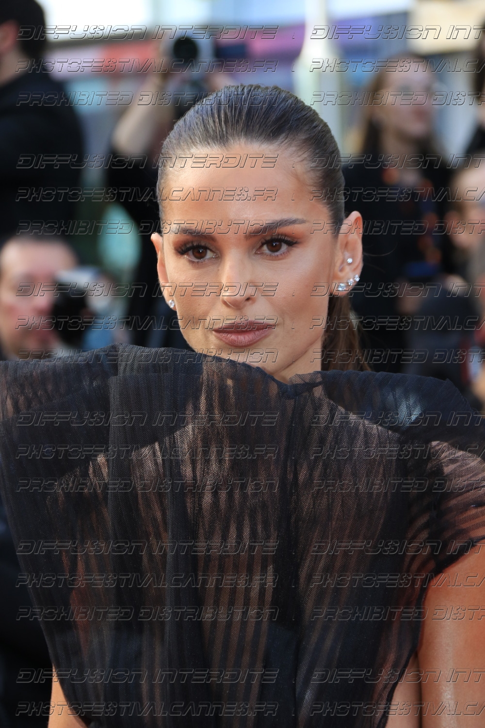 251-2119_502_-Izabel-Goulart