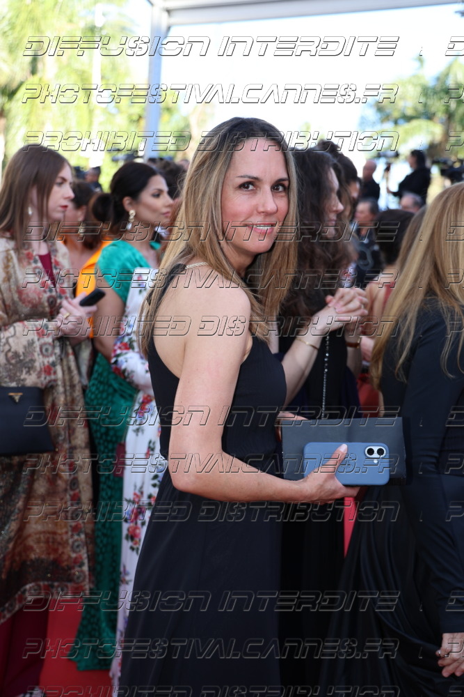 262-1219-280