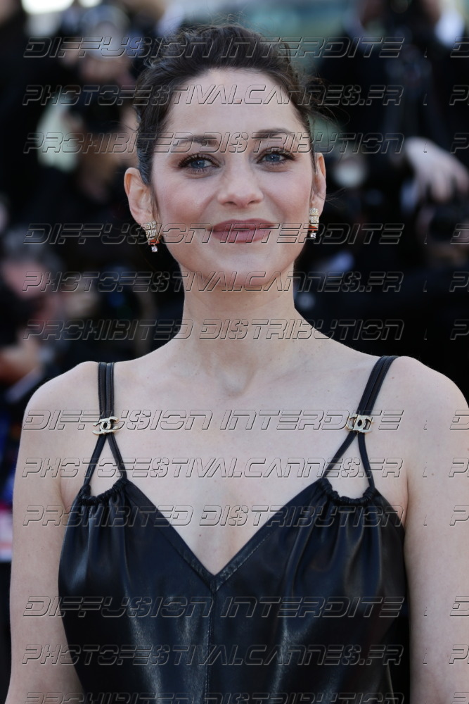 261-1518-570_Marion-Cotillard
