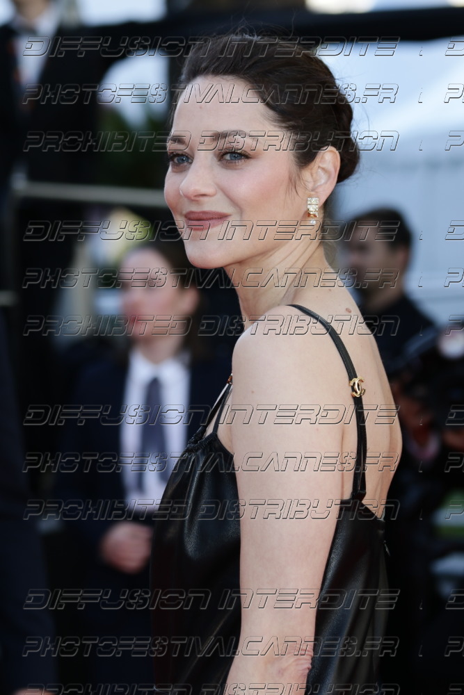 261-1518-574_Marion-Cotillard