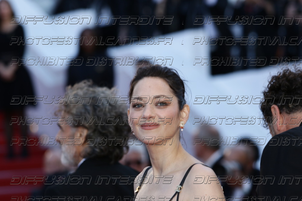 261-1518-579_Marion-Cotillard