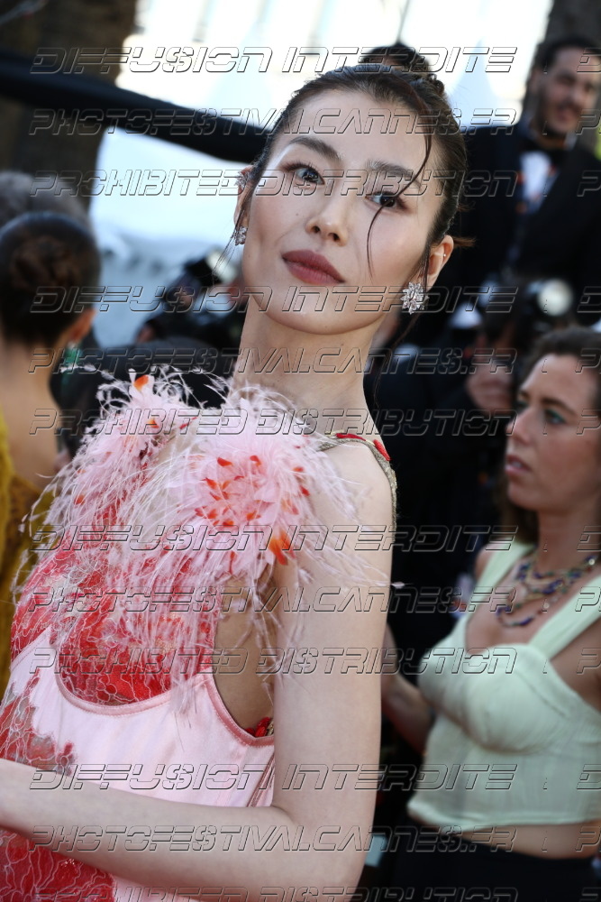 261-1718-333_Liu-Wen