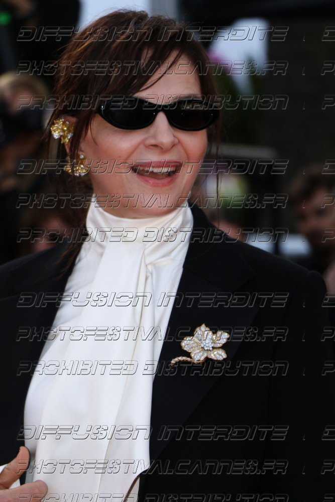 261-1919-402_Juliette-Binoche