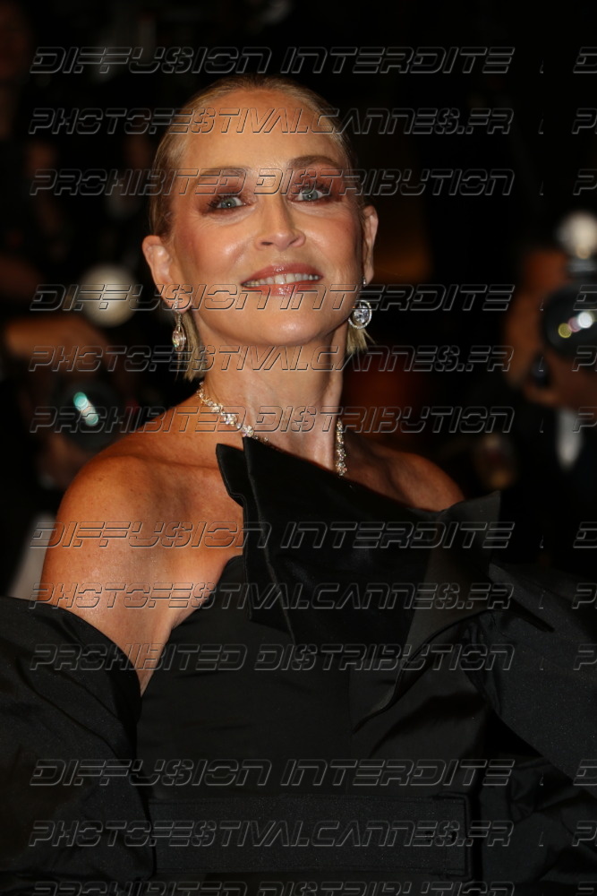 261-1922-420_Sharon-Stone