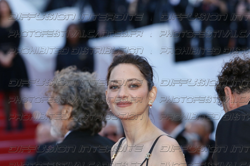 261-1518-579_Marion-Cotillard