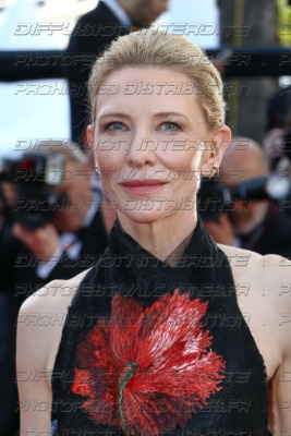 261-1718-503_Cate-Blanchett-Copie
