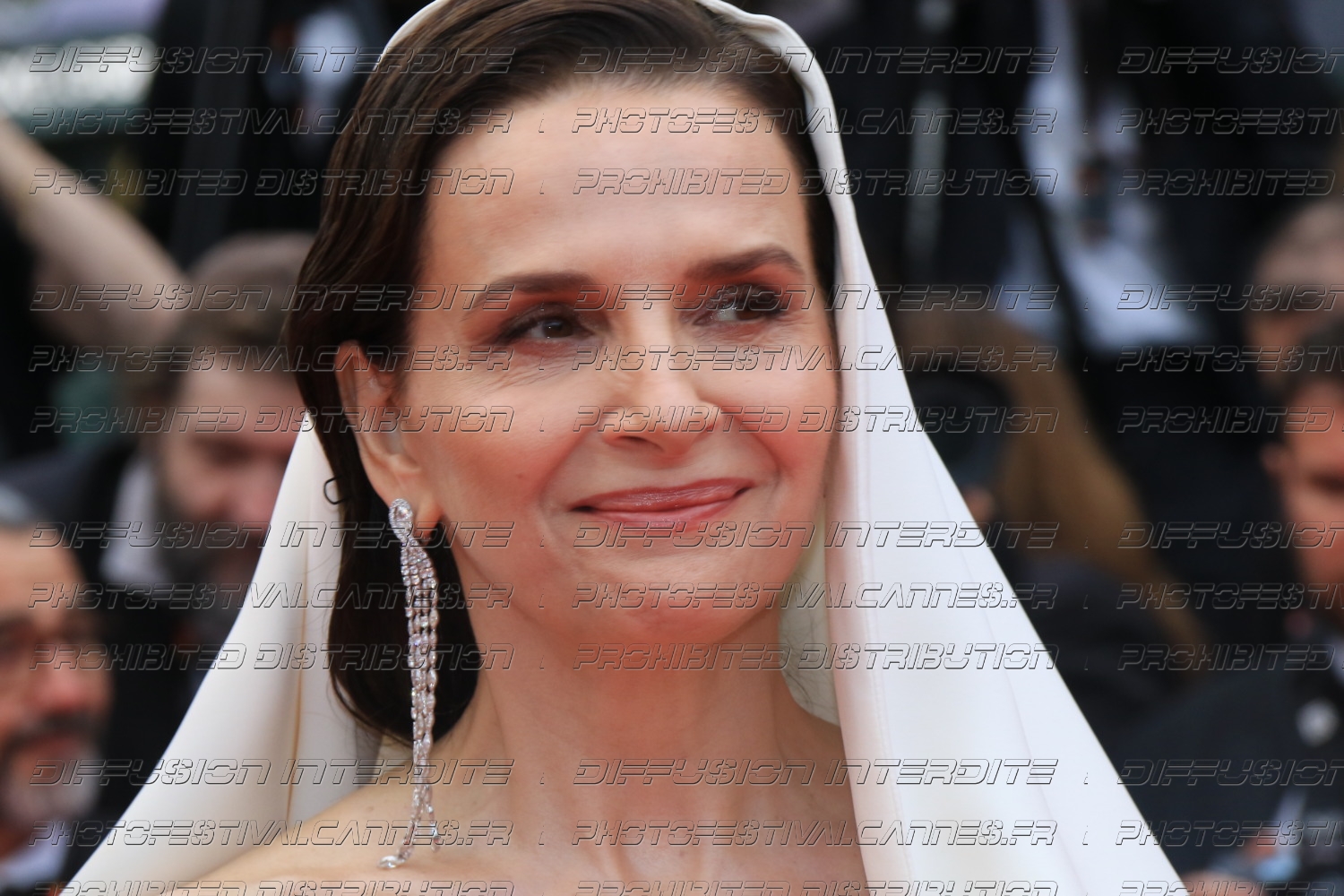 251_19_15_365_-Juliette-Binoche